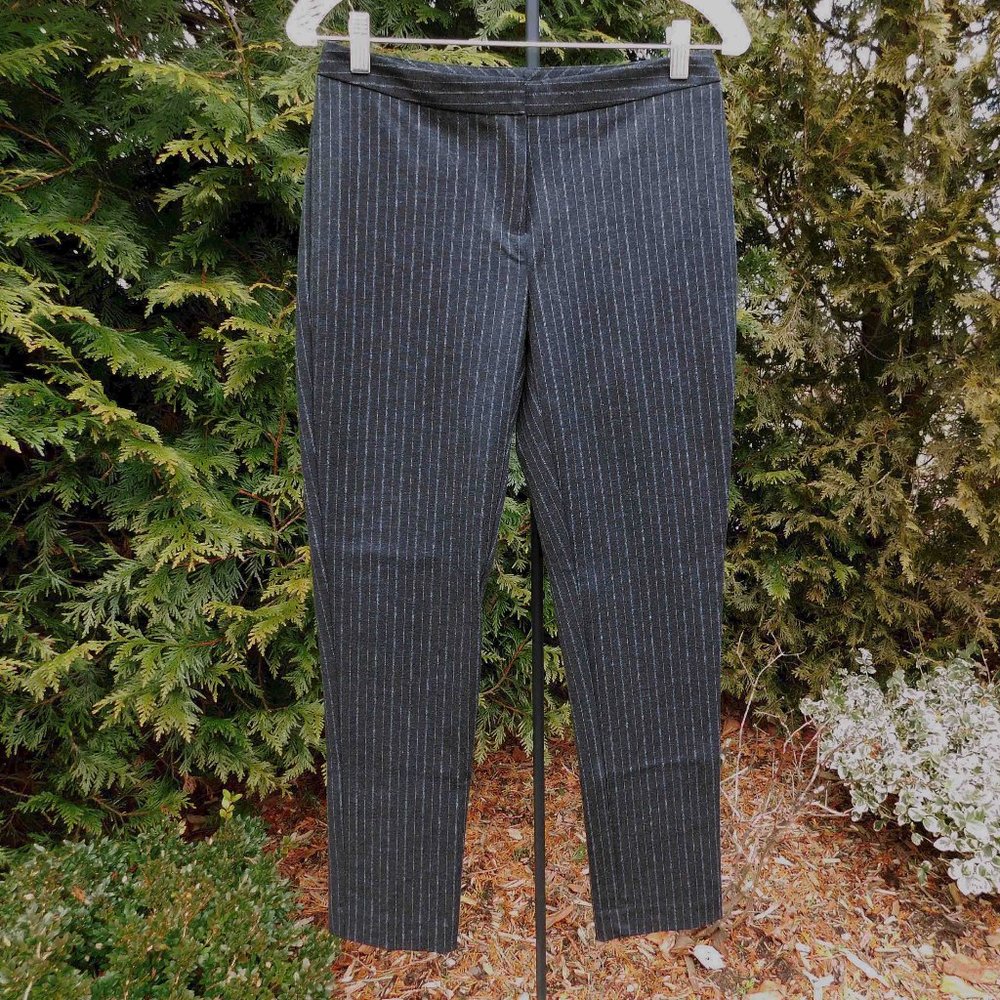 Le Gali Stylish Pinstripe Skinny Ankle Pants NWT